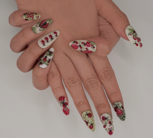 Ladybug's Picnic - Spring 2025 Collection