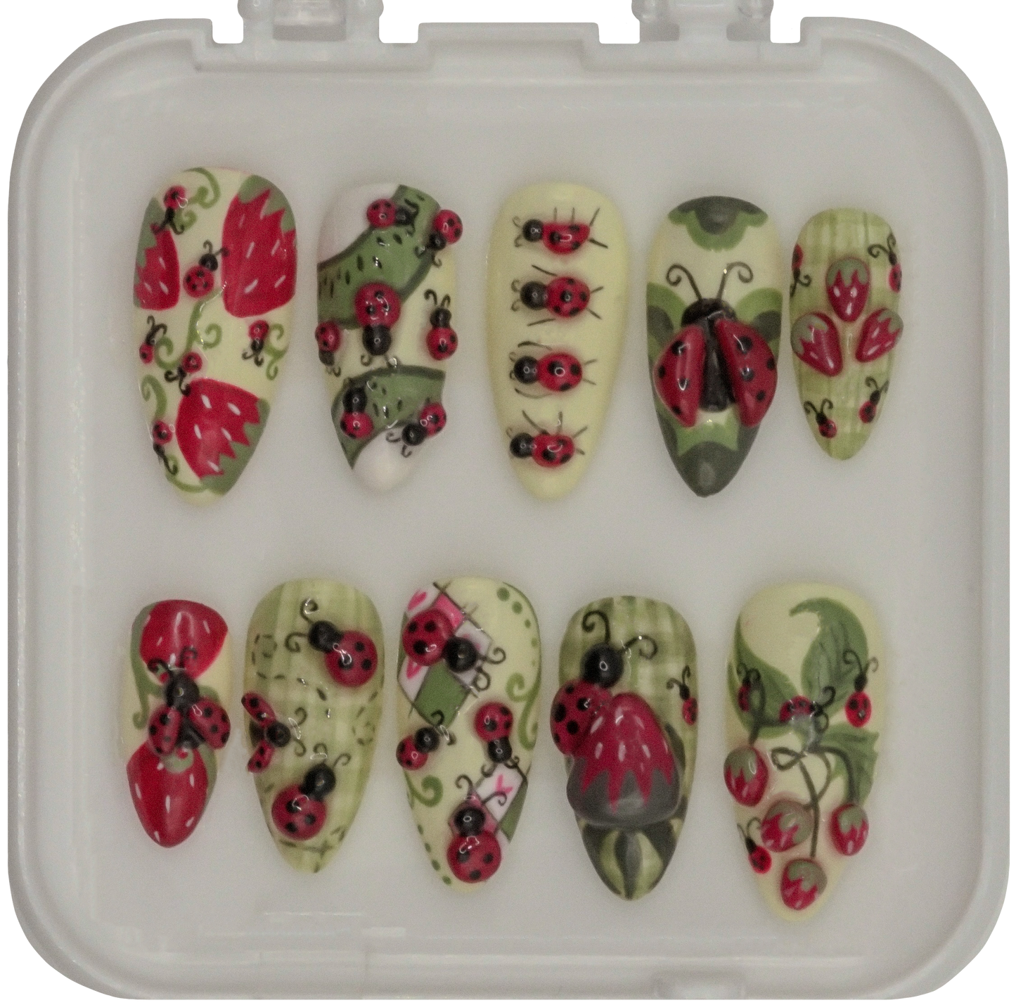 Ladybug's Picnic - Spring 2025 Collection