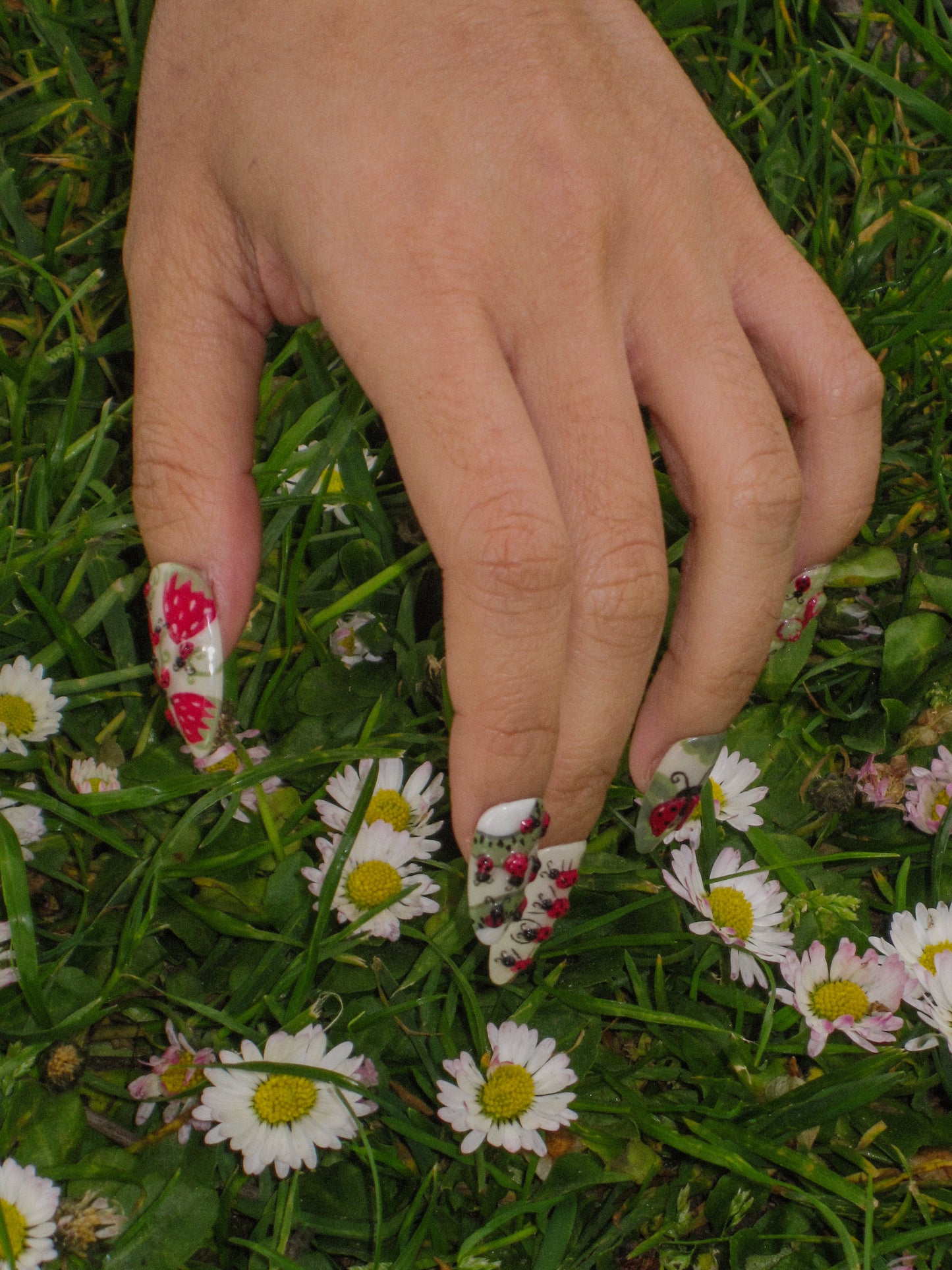 Ladybug's Picnic - Spring 2025 Collection